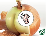 Onion audio logo; click to go to audio page at external site; opens in new window