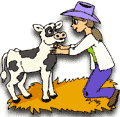 Cartoon of cowgirl with calf