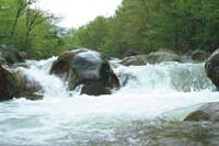 picture of fresh water in waterfall