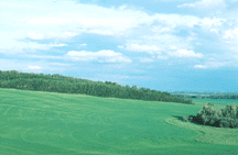 picture of rolling hills and greenery with no air pollution