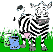 Funny picture of cow in pasture that painted itself like a zebra