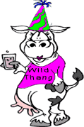 http://www.grinningplanet.com/2003/wild-cows/cow-party-copyright3.gif