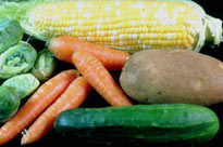 picture of vegetables
