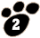 dog paw, 2