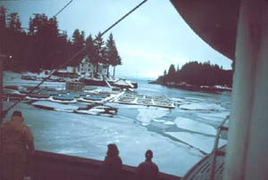 picture a of salmon pens, courtesy NOAA