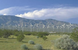picture of wind turbines