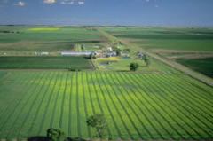 picture of farm
