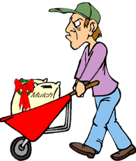 funny cartoon of garden center employee wheelbarrowing away his christmas bonus, a bag of silver dollar mulch