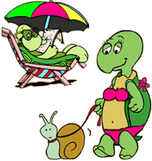 funny cartoon of female turtle in bathing suit