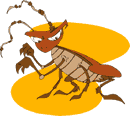 cartoon cockroach