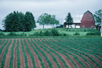 picture of farm field