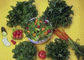 picture of green leafy vegetables