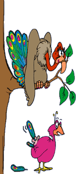 funny cartoon of a vulture wearing peacock feathers; plucked peacock is on the ground, confused