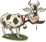 cartoon image of worried cow chewing his own tail