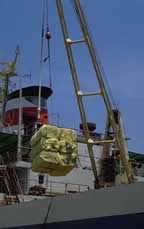 picture of crane on a ship