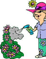 cartoon of woman spraying flowers with chemical pesticides
