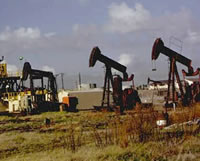 picture of three oil rigs in a meadow
