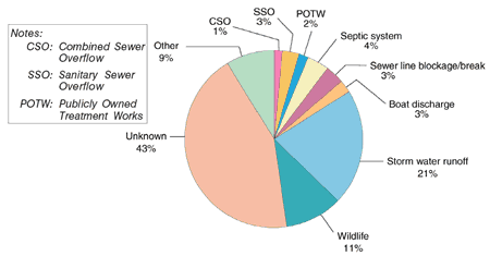 Pie chart showing a breakdown of reasons for beach closings: Combined Sewer Overflow - 1%; Sanitary Sewer Overflow - 3%; Publicly Owned Treatment Works - 2%; Septic Systems - 4%; Sewer Line Blockage/Break - 3%; Boat Discharge - 3%; Storm Water Runoff - 21%; Wildlife - 11%; Other - 9%; Unknown - 43%