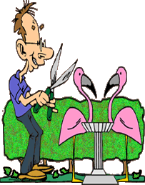 funny cartoon of man who has finished pruning bushes, now is looking at pink lawn flamingos menacingly with the pruning shears