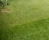 thumb of lawn; link for environmental article, Lawn Care Tips - Program Your Lawn for Success
