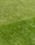 thumb of lawn; link for environmental article, Lawn Care Tips - Program Your Lawn for Success