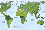 Rain Forest Facts article link; thumb of rain forest map