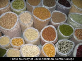 picture of baskets of food staples in an Indian marketplace