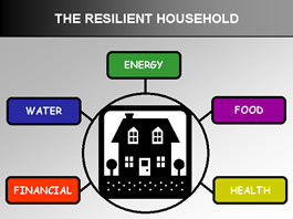 graphic representation of The Resilient Household concept - the five supporting areas are Food, Water, Energy, Financial, and Health