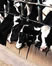 Sustainable Meat, Eggs, and Dairy article link; thumb of cattle in feed lot