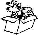 Calvin and Hobbes pretending a cardboard box is an airplane