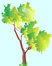 Funny Quotes about Trees and Forests link; thumb of tree