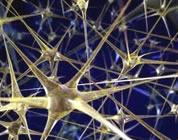healing video link; thumb of network of neurons
