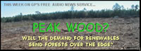 image of clearcut forest; feature story is PEAK WOOD? - WILL THE DEMAND FOR RENEWABLES SEND FORESTS OVER THE EDGE?