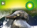 picture of oil-covered duck and BP logo