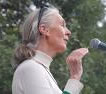 dr. jane goodall