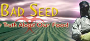 the words 'Bad Seed - The Truth About Our Food' and a picture of a man in a chemical suit; click to go to Bad Seed site in new window