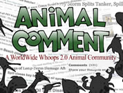 shadows of sea animals and birds around the words 'animal comment'; link for funny animation; opens in new window