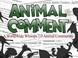shadows of sea animals and birds around the words 'animal comment'; click to go to animation page in new window