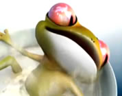 environmental animated shorts link; thumb of frog in cup of warm water