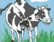 graphic image of two happy cows in field; click to go to video page at external site; opens in new window