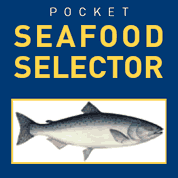 picture of fish, words pocket seafood selector