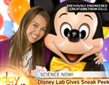 disney satire link; thumb of child start posing for photo with mickey mouse