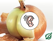 Onion audio logo; click to go to audio page at external site; opens in new window