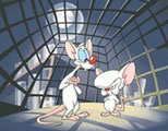 brain funny video link; thumb of pinky and brain in cage