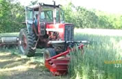 photo of tractor rolling/tamping down cover crop; click to go to video page; opens in new window