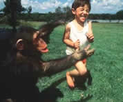 photo of monkey and jumping child; link for animated toon; opens in new window