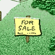 thumb, for sale sign