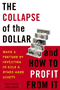 book cover for The Collapse of the Dollar and How to Profit from It, by James Turk, 1/29/2008