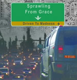 DVD cover for Sprawling from Grace, Driven To Madness