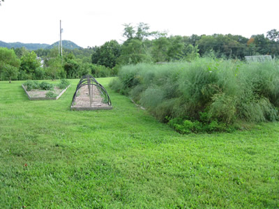 picture of Main Beds, east